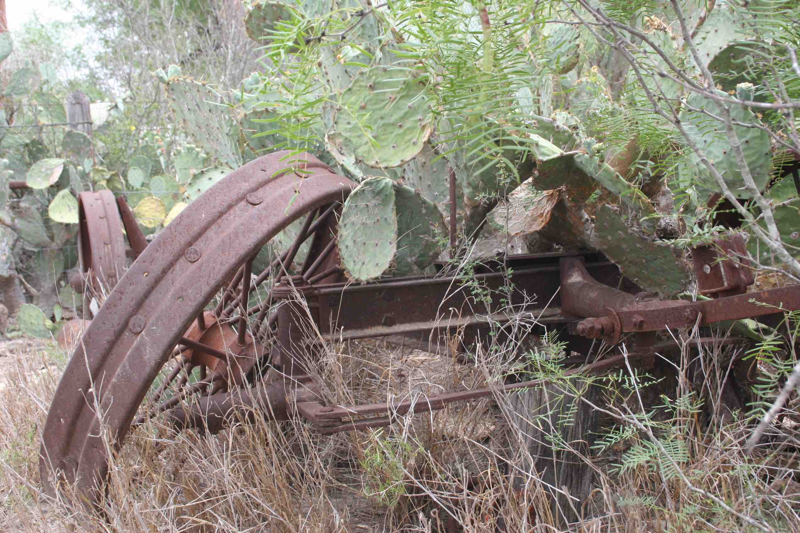 Ranch 0505 123